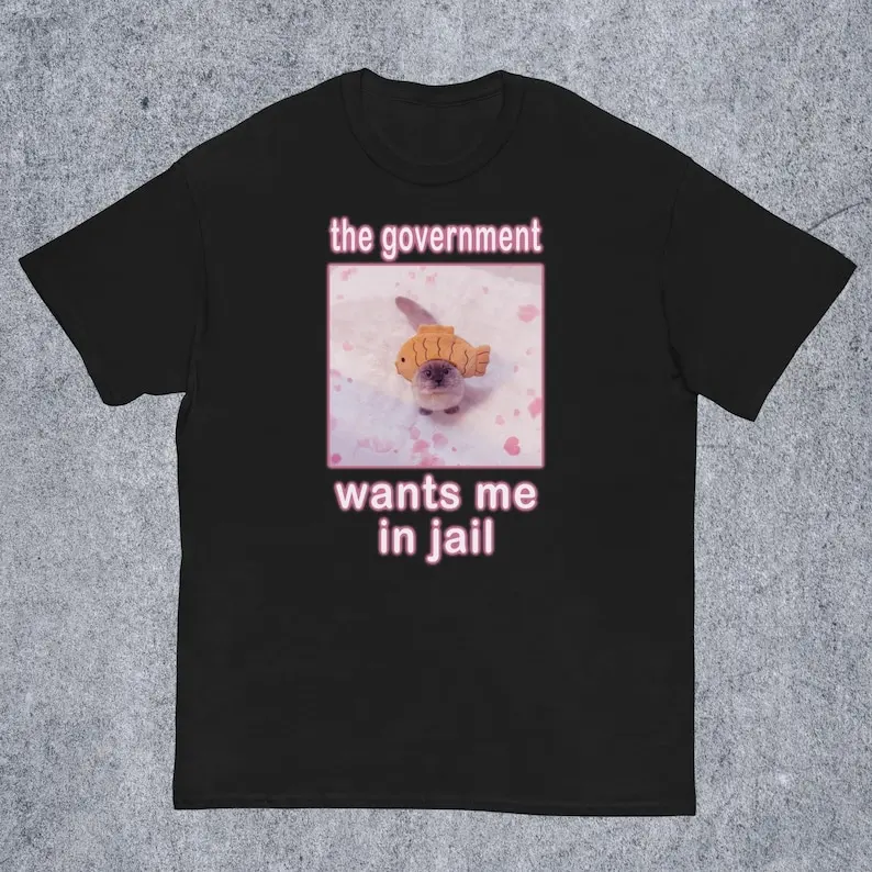 The Government Wants Me in Jail Cat Meme T-shirt Gift Goofy-Ahh Silly Cats T-shirt Freaky Gifts Unhinged inappropriate Tees