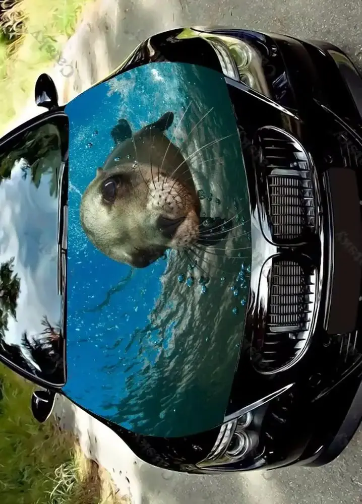 

sea lion animal Car Hood Decal Vehicle Decals Vinyl Sticker Auto SUV Wrap Stickers Truck Graphic Cars Bonnet Vinyls