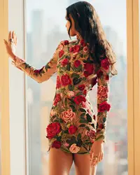 Print Flower Embroidery Mini Dress Women Half High Collar Long Sleeve Hip Package Dresses Female Autumn Elegant Lady Vestidos