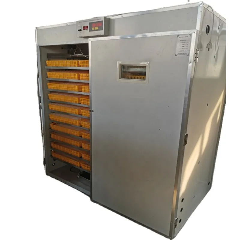 2025 Bom preço S Capacidade automática de frango S