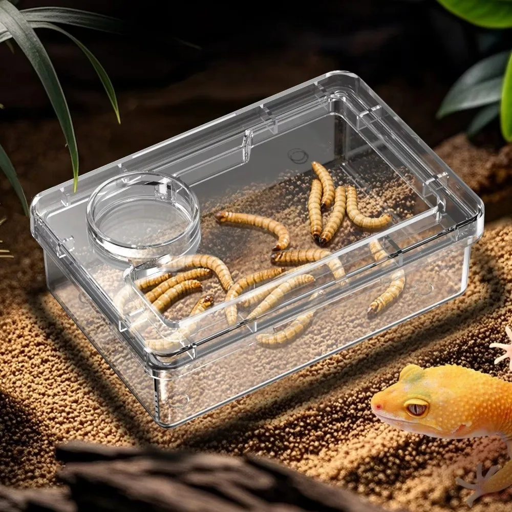 Comederos para Reptiles, Lagartos y Geckos, Anti-Vuelco, Previenen la Invasión de Tenebrio Molitor y Blaptica Dubia, Comedero Anti-Escape