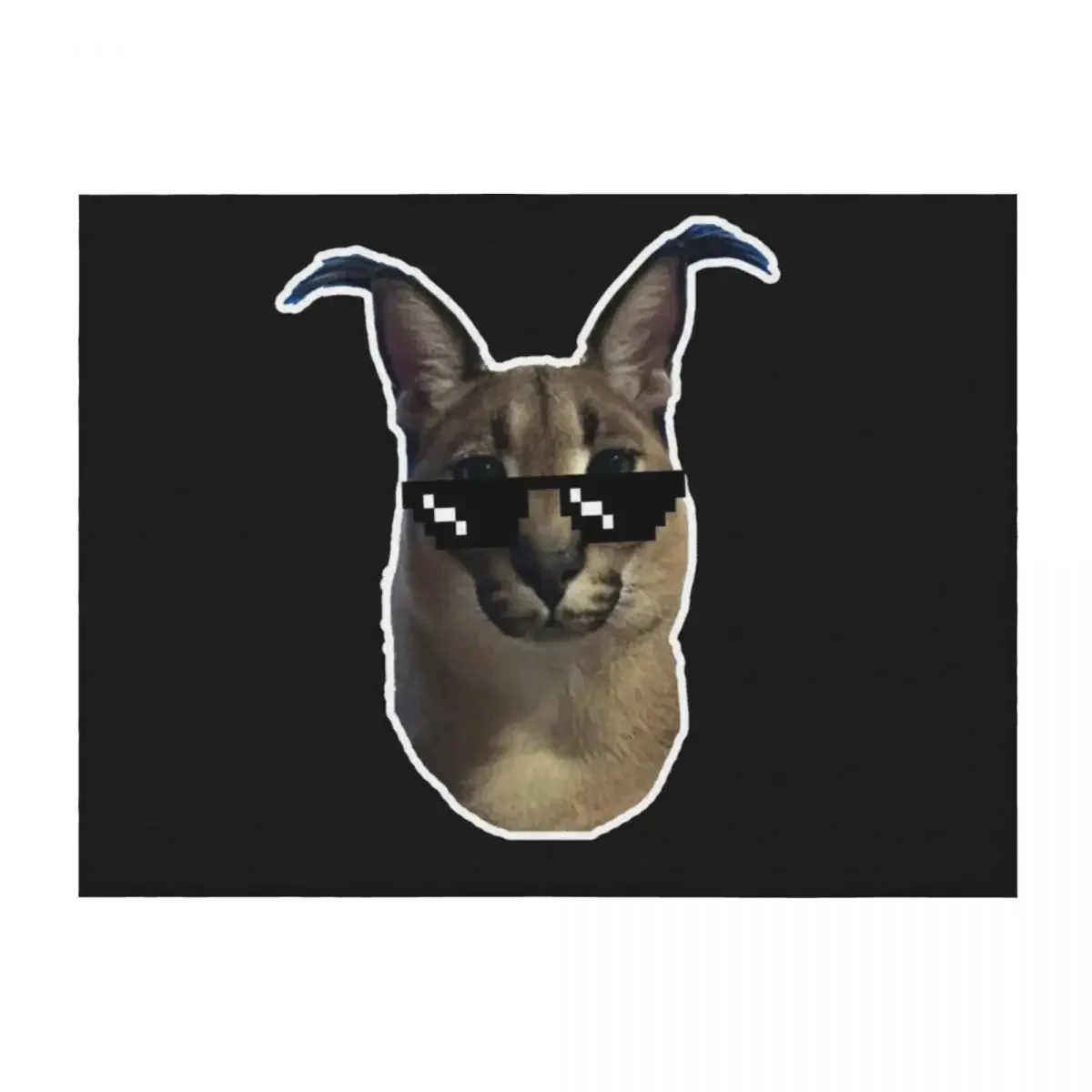 

Big Floppa with glasses Throw Blanket Decorative Sofa Luxury Brand Blankets For Baby Soft Plush Plaid Blankets