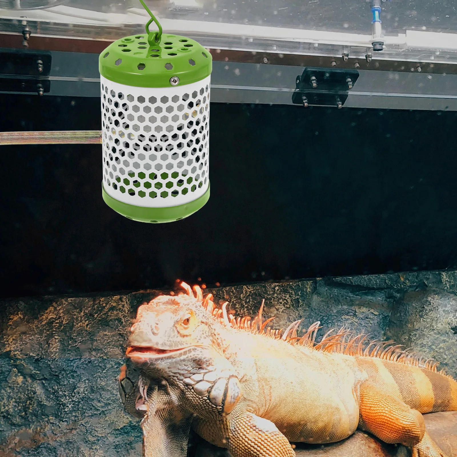 

Reptile Ceramic Heat Lamp Protective Cover Adjustable Height St Turtle Tank Accessories Terrarium Light Promoting Wellbeing