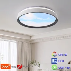 Led Ceiling Lights Modern Chandelier Zigbee Tuya Smart Sky Light Assistant Lamp Zigbee2mqtt Alice Alexa Voice Control