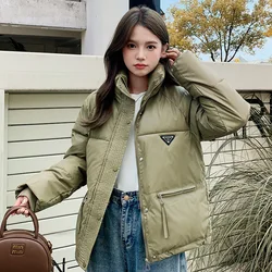 Chaqueta corta con cremallera para mujer, Abrigo acolchado de algodón con cuello levantado, Parka cálida, ropa de calle con bolsillos, Otoño e Invierno
