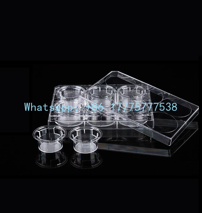 

Cell Compartment Transwell Nested PET Polyester Film PC Polycarbonate Film 723101 724101 725121 723301 724001 725001