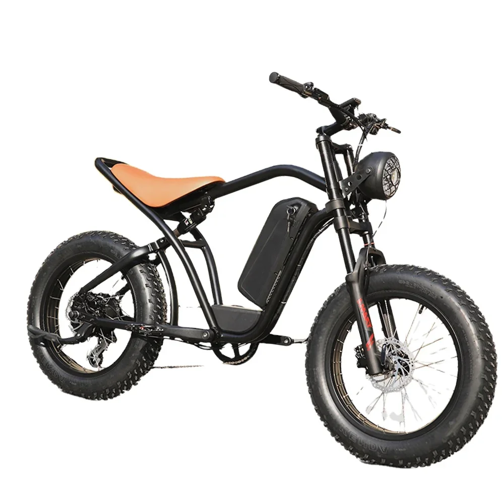 Electric Bike 48 V 750W 1000W Electric Bike 20 Inch Fat Electric Bicycle Aluminum Alloy E-bike Bike