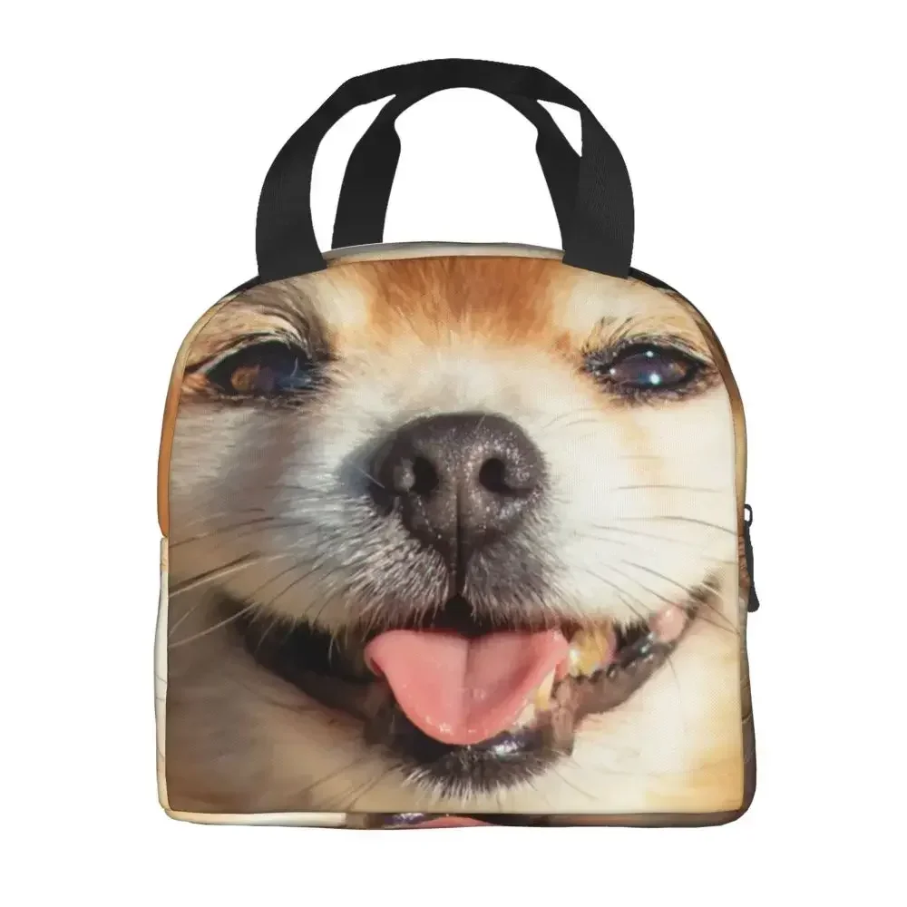 Duitse Spitz Puppy geïsoleerde lunchtas voor dames Leuke Pommeren hond Tong uit Thermische koeler Lunchbox Strand Camping Reizen