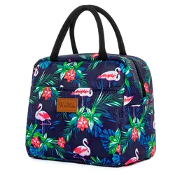 Lunch Box Lunch Bag Insulated Cooler Bag Waterproof Thermal Bag for Women Children Girls and Ladies, Cute for Work Picnic School