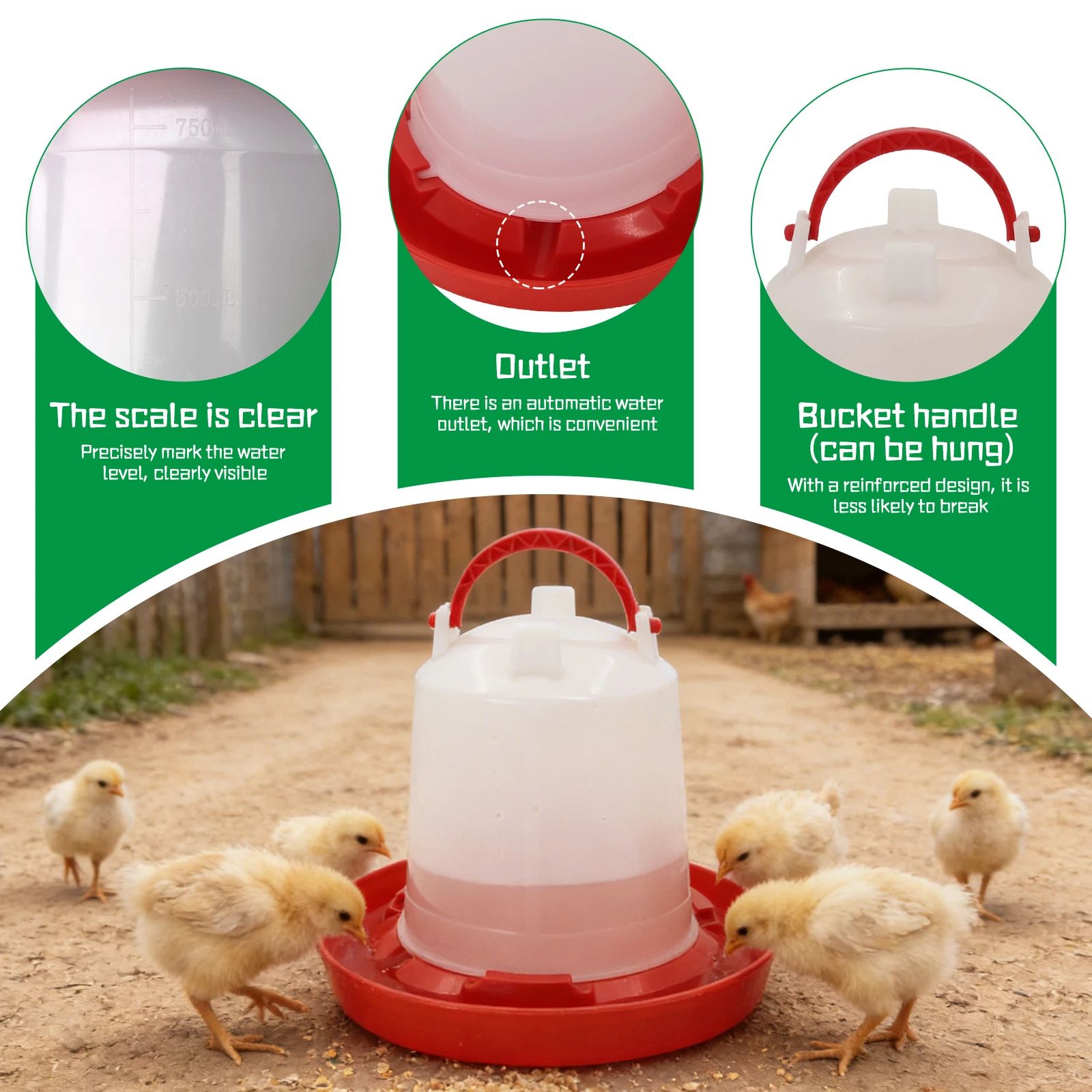 Thumbnail 3 - #76 Best Bird Supplies to Buy In 2026