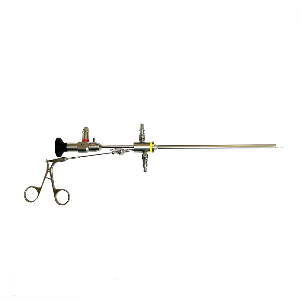2026 New Best Quality Bolang Hysteroscope Gynecological With Good Price