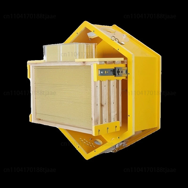 Colmeia de parede equipamento de apicultura interna