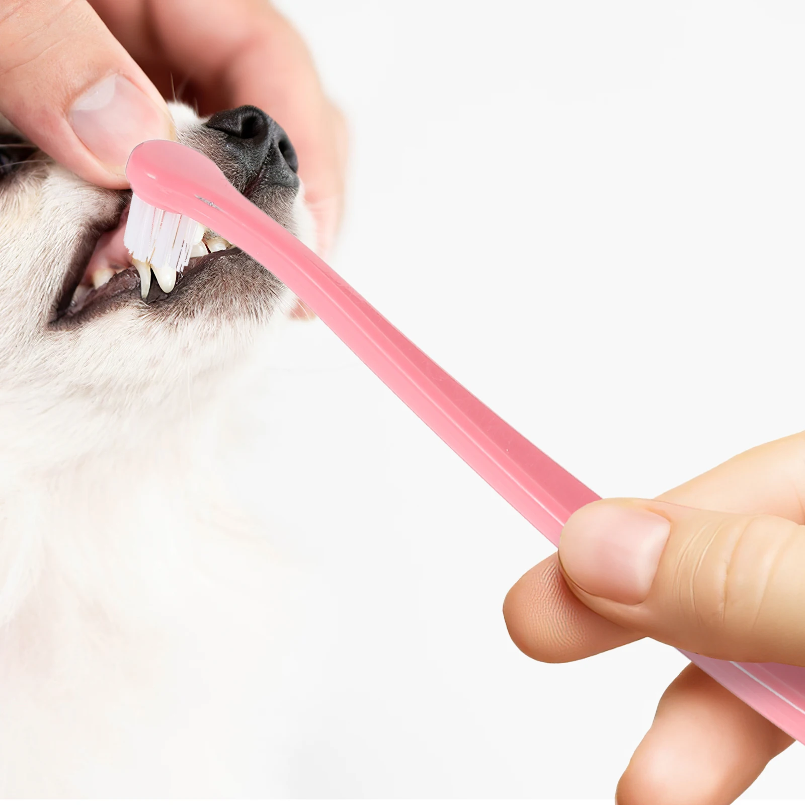 

Pet Toothbrush Dog for Small Dogs Pets Puppy Modify Brushing Tool Tpr Handheld Toothbrushes