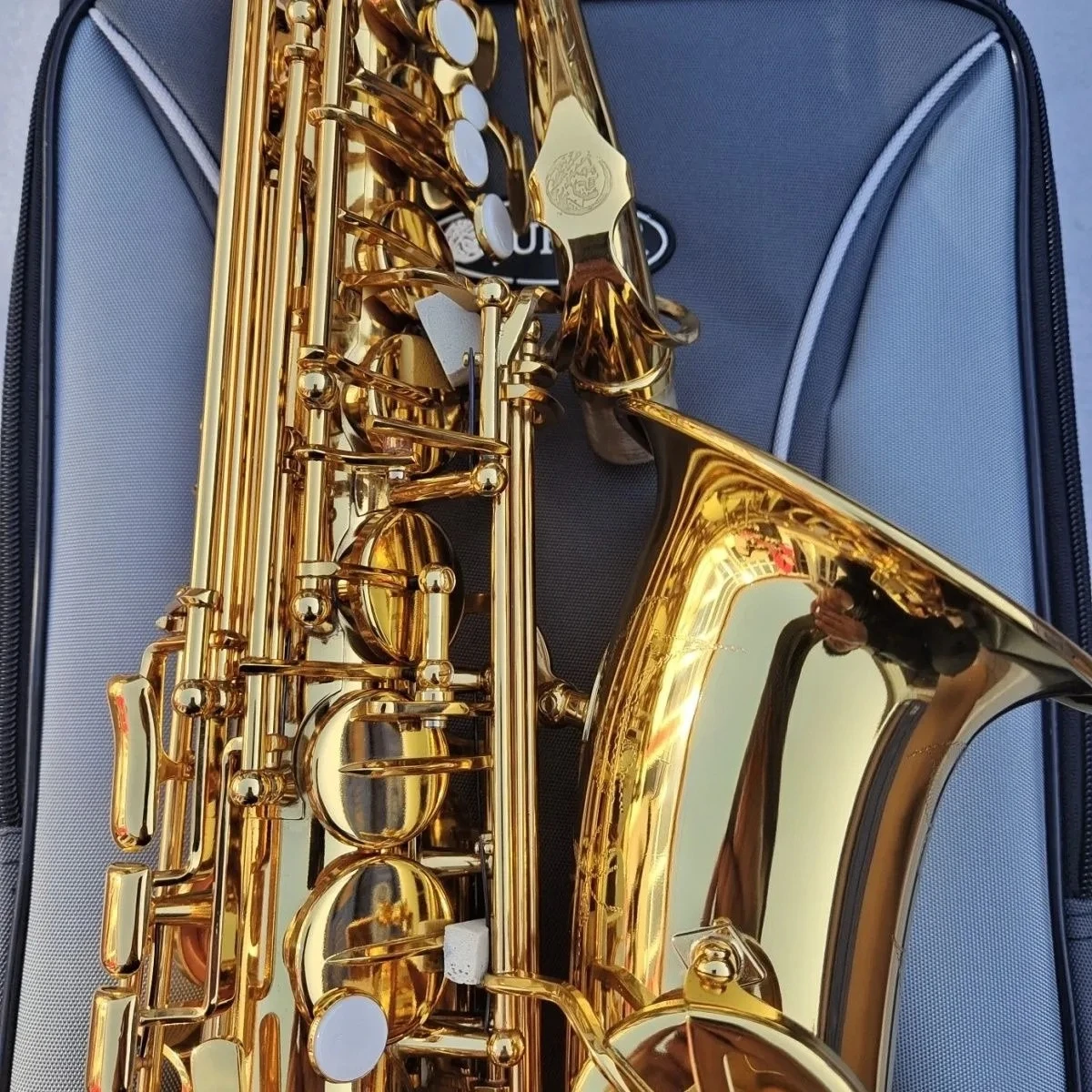 

2026 hot new Gold Lacquer Medium Tenor Saxophone E Flat High-Quality with Accessories