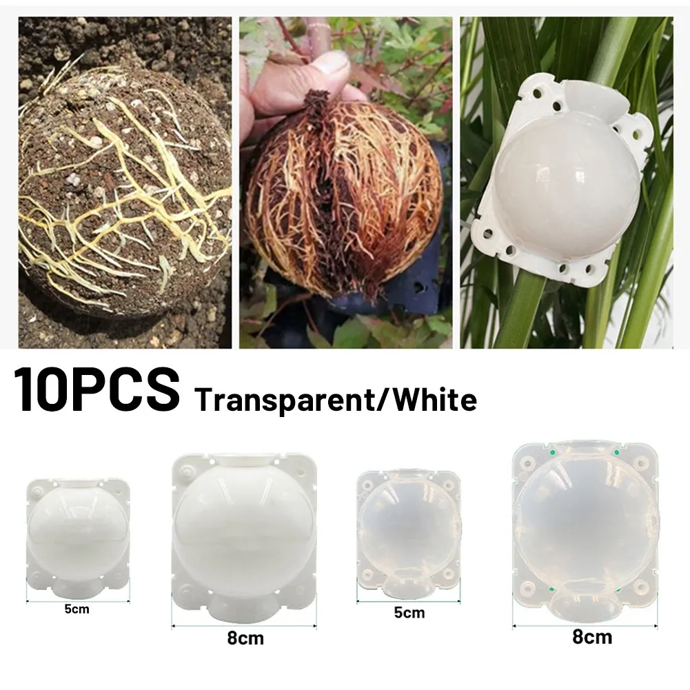 

10PCS Plant Graft Box Rooting Equipment High Pressure Propagation Ball Garden For Indoor And Outdoor Plants Roses Climbers