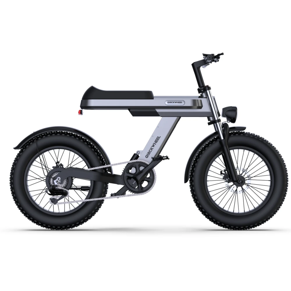 C9 Electric Bicycle 1000W 15Ah Battery Cross-Country Electric Mountain Bicycle 20 Inch Off-Road Tyre E Bicycle Electric Bike