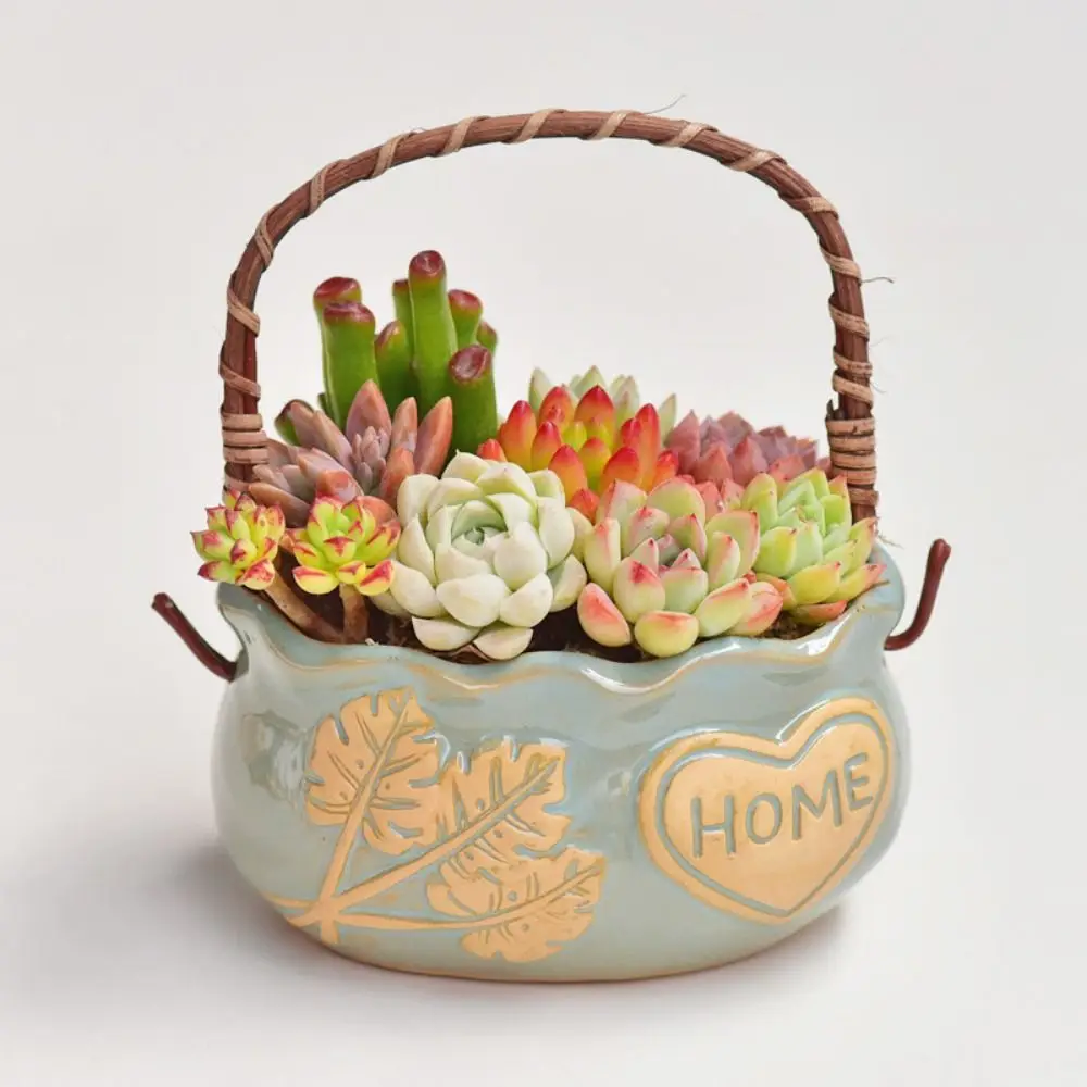 زارع نباتات سيراميك مقاوم للتآكل مزخرف بمقبض أصيص زهور إبداعي قابل للتنفس زهور إسكندنافية