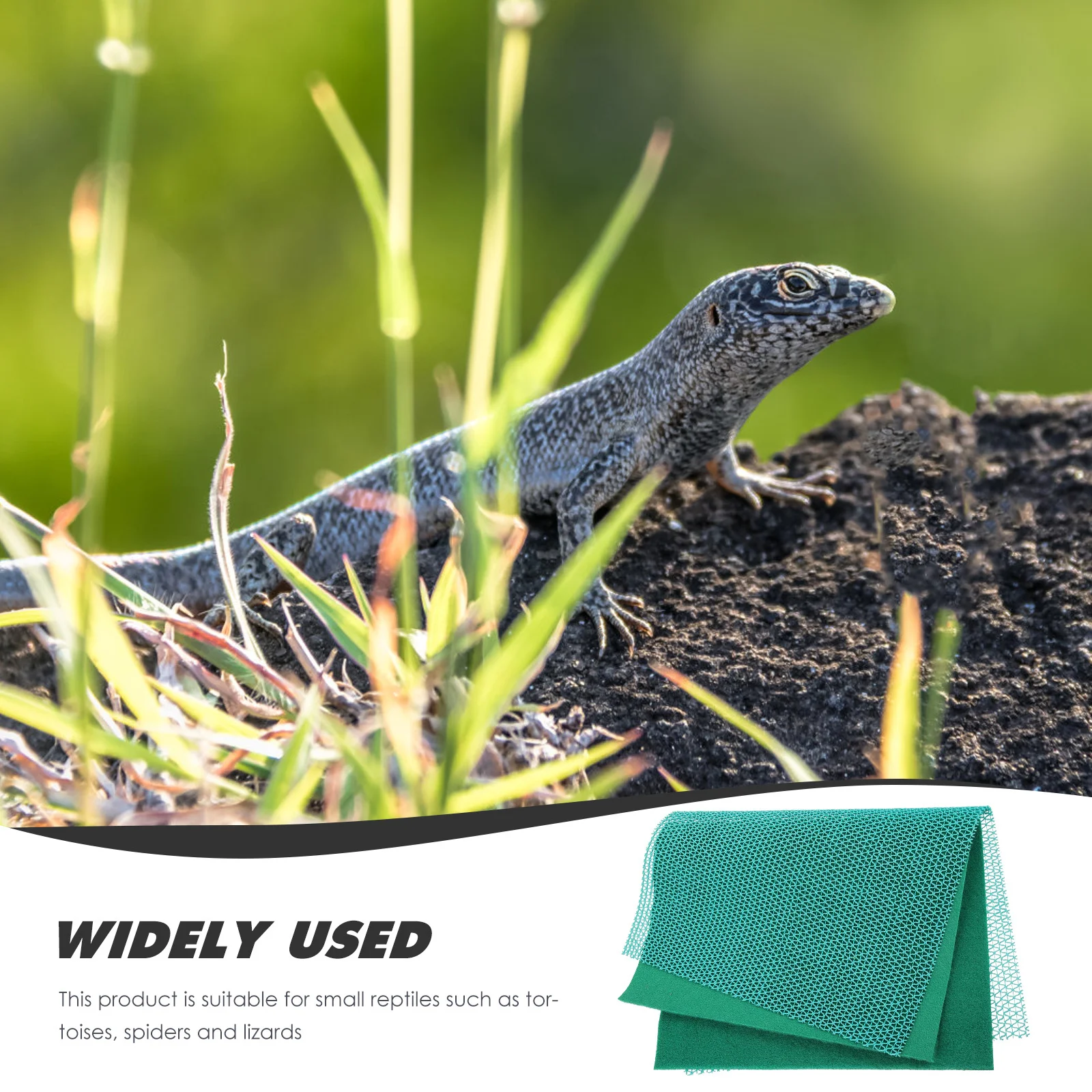 

1Set Reptile Carpet Lizard Cage Mat Waterproof Heat Preservation Terrarium Liner Bedding Cushion for Pets Reptile Carpet