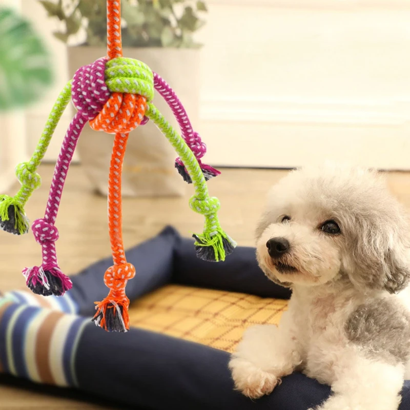Thumbnail 4 - #31 Low Price Durable Pet Chew Toys Deals