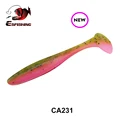 CA231