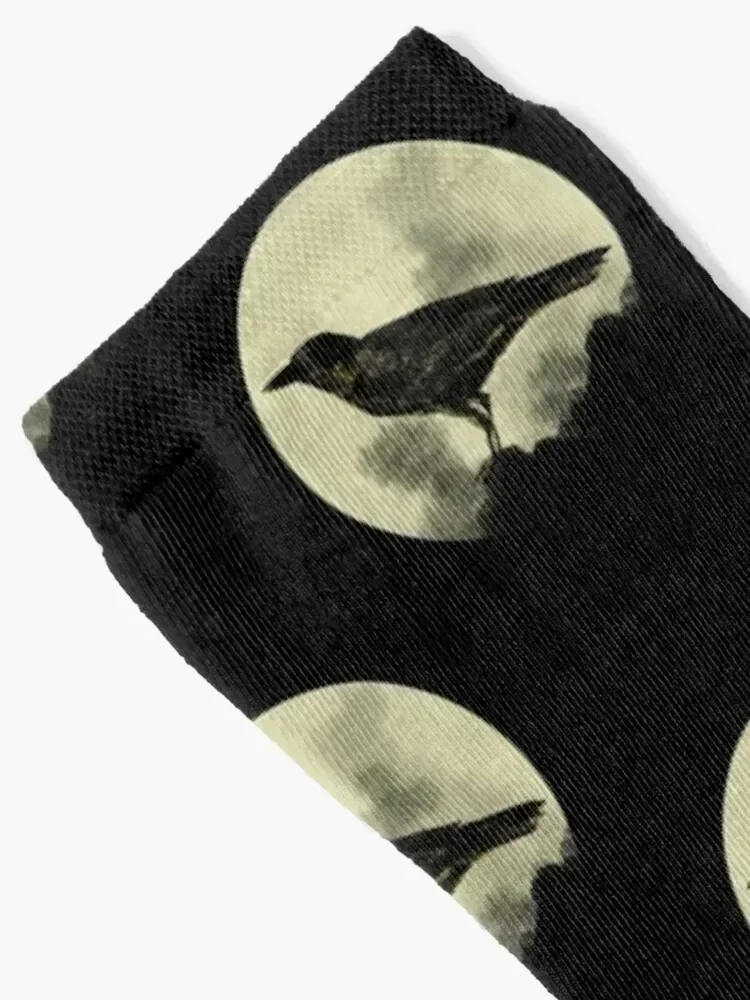 Crow Socks funny gift Sports Man Socks Women's