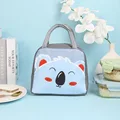 Grey Koala