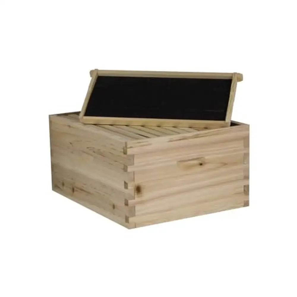 Beekeeping Kit Hive Body Super Box Pine Frames Wax Coated Foundations Metal Cover Bottom Board Beehive Bee Species Honey