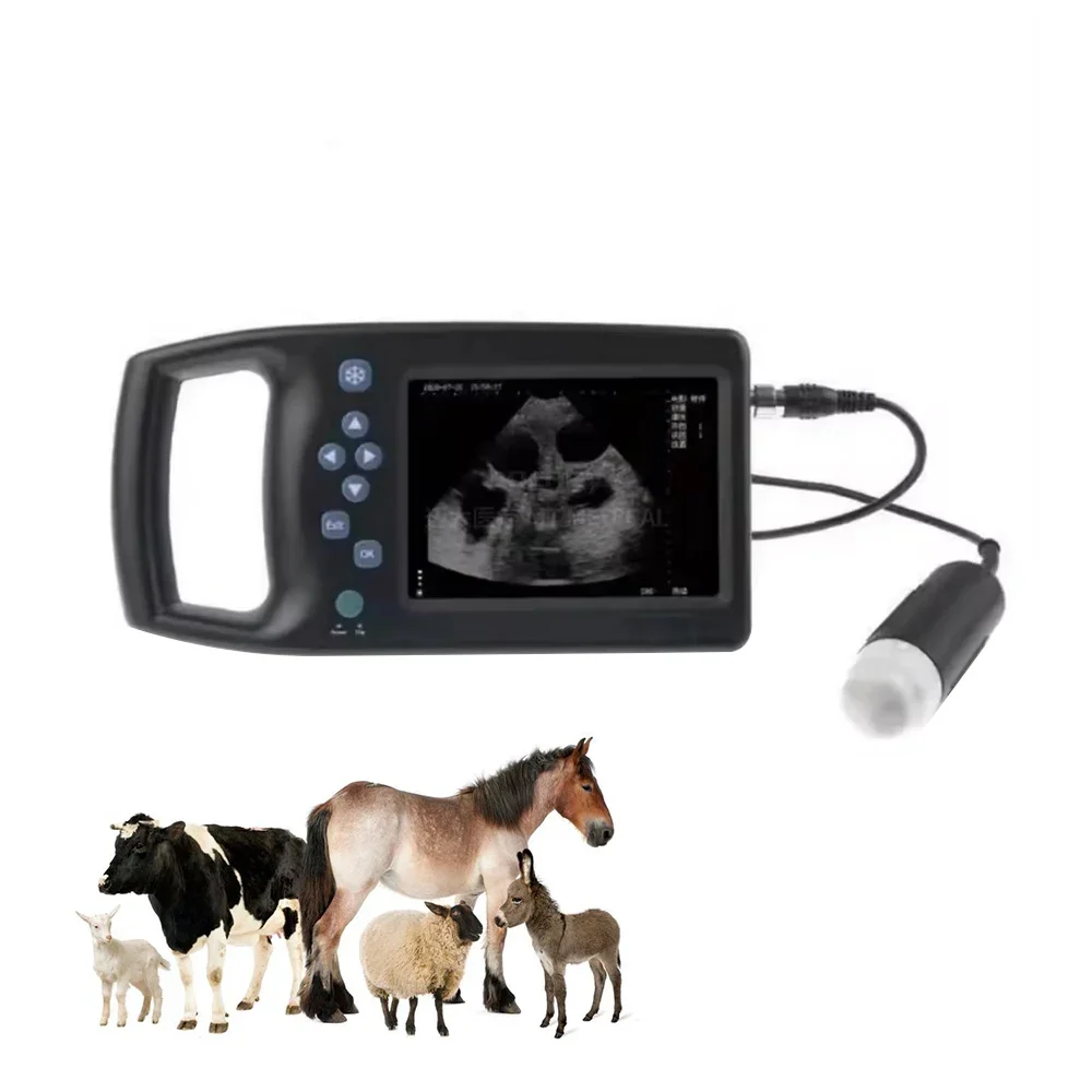 3 Years Warranty M6 Veterinary Scanning B-Ultrasound Instrument Machine Veterinary Ultrasound Portable Ultrasound