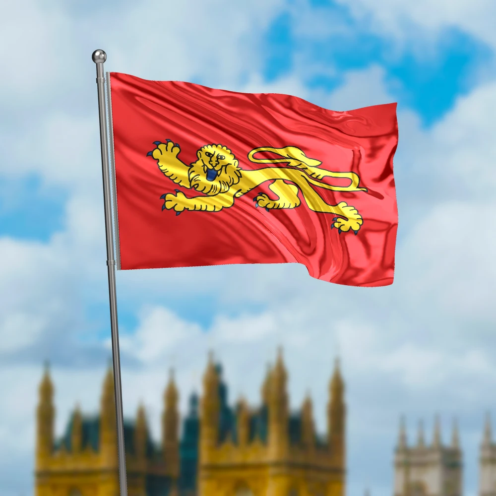 3x5 Ft Aquitaine Flag Vivid Color and Fade proof a region in France Flags Polyester with Brass Grommets 3 X 5 Ft