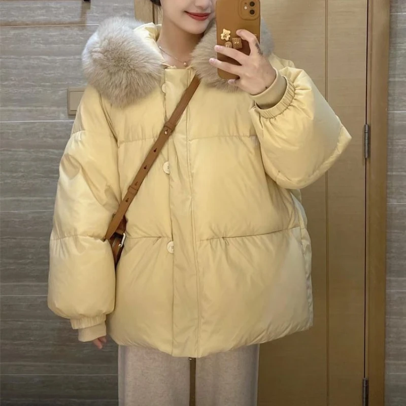 Short fur collar down cotton clothes for women's winter 2025 new fashion design sense
