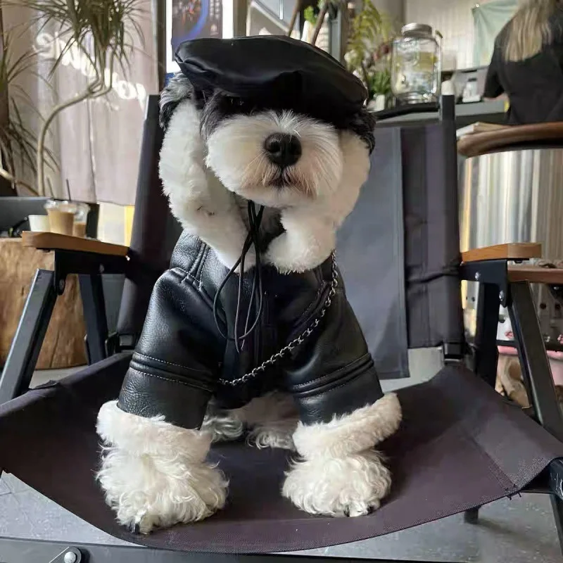 Dog Biker Motorcycle Cotton Coat Clothes Chennai Phalanx Biker Teddy Small Medium Pet Dogs Cats Winter Warm Cotton Black Coat