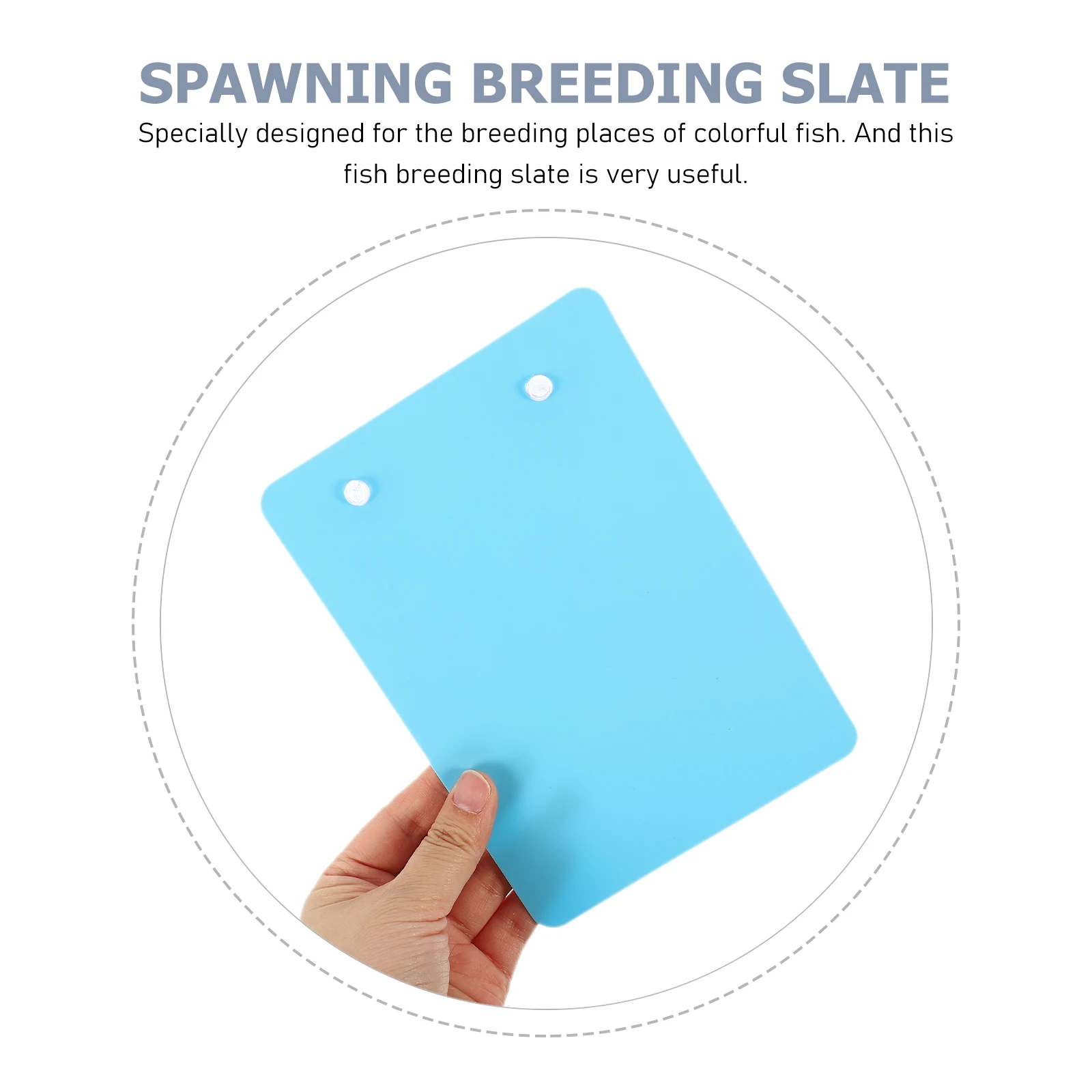 

2pcs Fish Breeding Aquarium Spawning Plate Breeder Box for Fish Tank Shrimp Cichlids Small Bream Supplies Removable