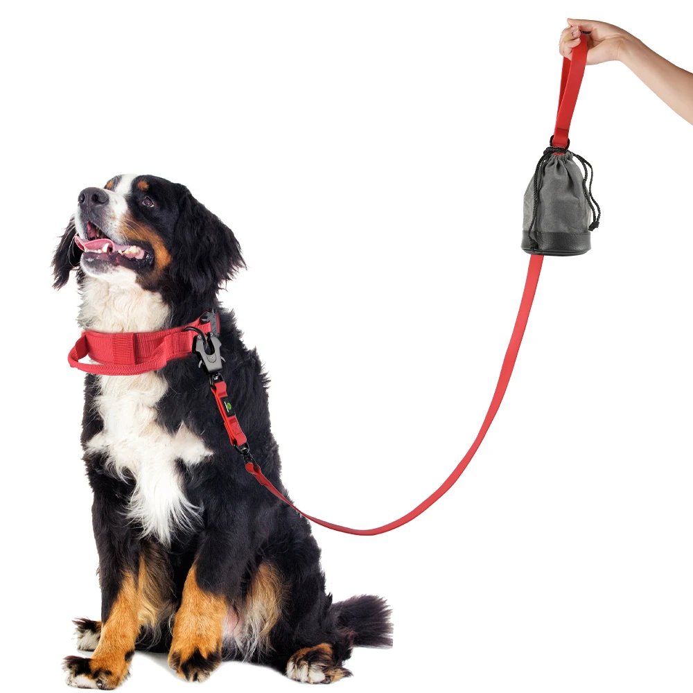 5FT Pvc Training Durable Handle Quick Release Frog Clip Lead line Outdoor Medium Large Dog Waterproof lead line Dog Leash