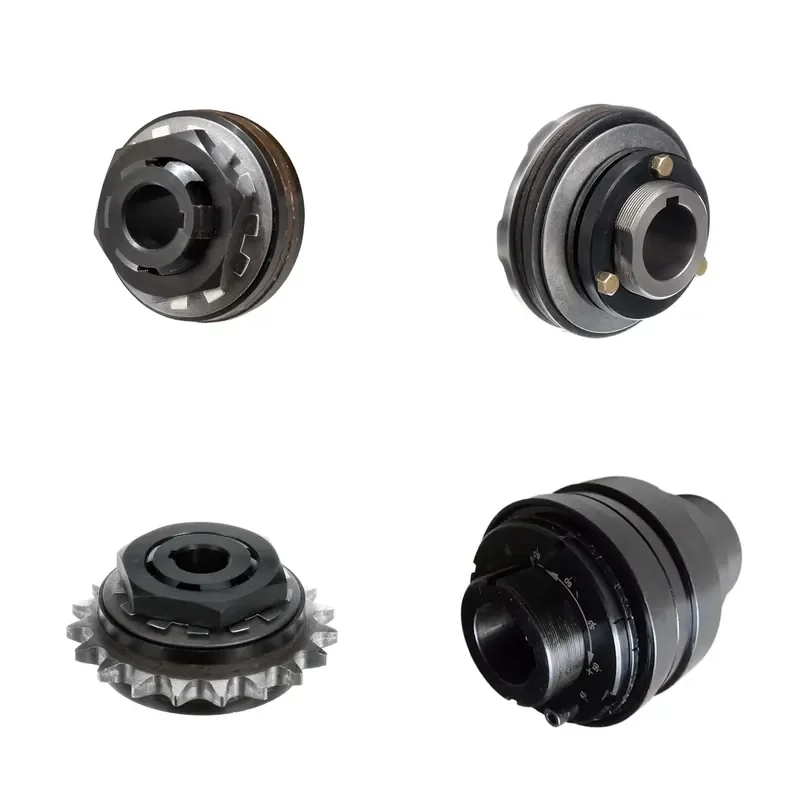 Couplage limiteur de couple à billes en acier TSCL02, embrayage de sécurité rigide et flexible pour les industries de la construction avec support OEM