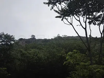 

Foxeer Replacement Camera Lens 1.7mm 1.8mm 2.1mm 2.5mm Lens/M8 M12 Wide Angle Lens for Toothless/Predator/Falkor Camera