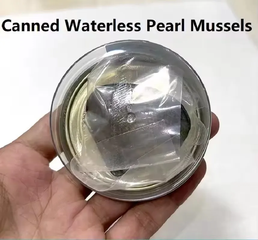 Desejo pérola colar kit inovador corrente charme para presente de feriado encantos diy para fazer jóias charme pingente conjunto