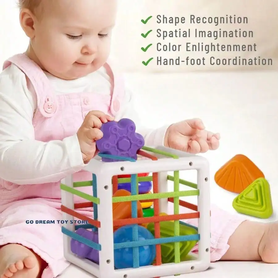 Baby Montessori Toy 2 Years Shape Sorter Toy Sensory Sorting Toys Motor Training Games Kids Educational Toys For Baby 1 -2 Years