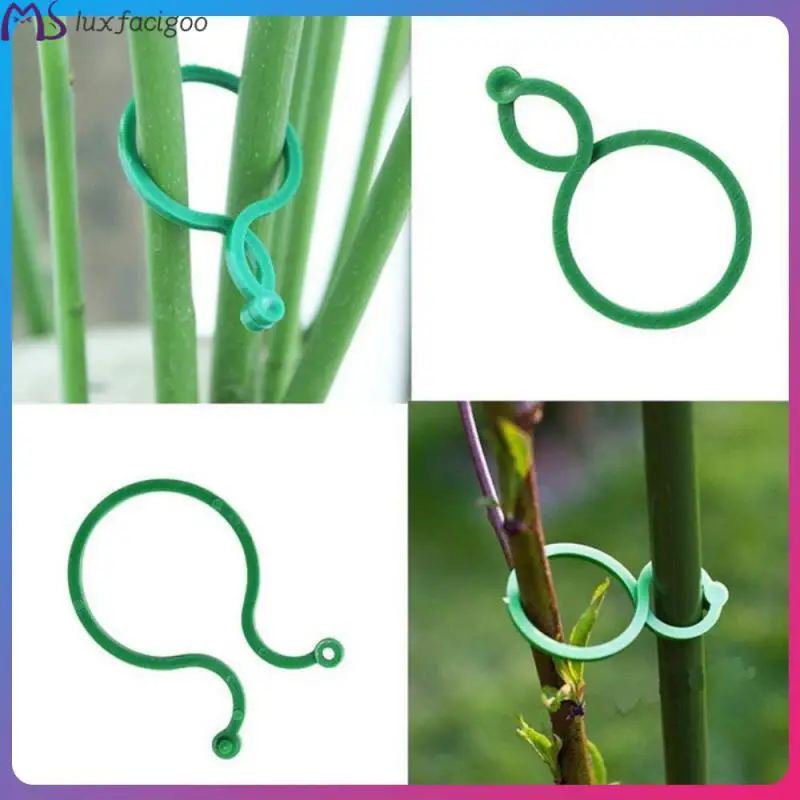 Vine Strapping Clips Plant Climbing Wall Fixture Clips Plant Bundled Support Growing Upright Holder Garden Tool