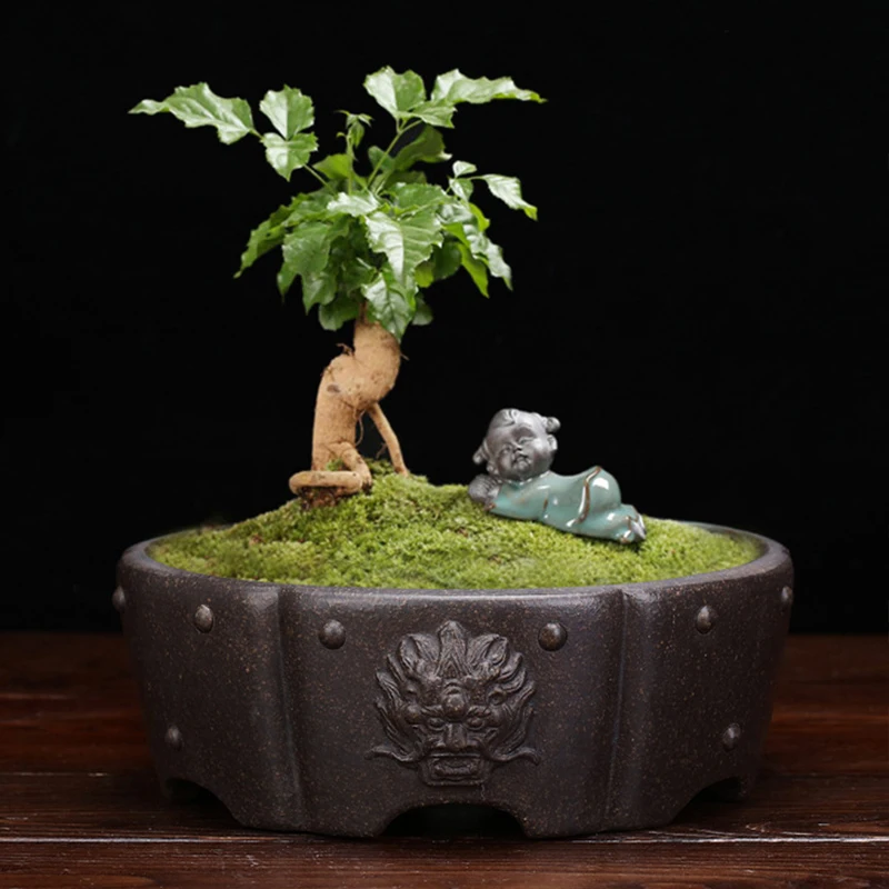 Exquisite Purple Sand Rivet Beast Head Breathable Bonsai Succulent Pot Household Flower Pots for Indoor Plants Home Decoration