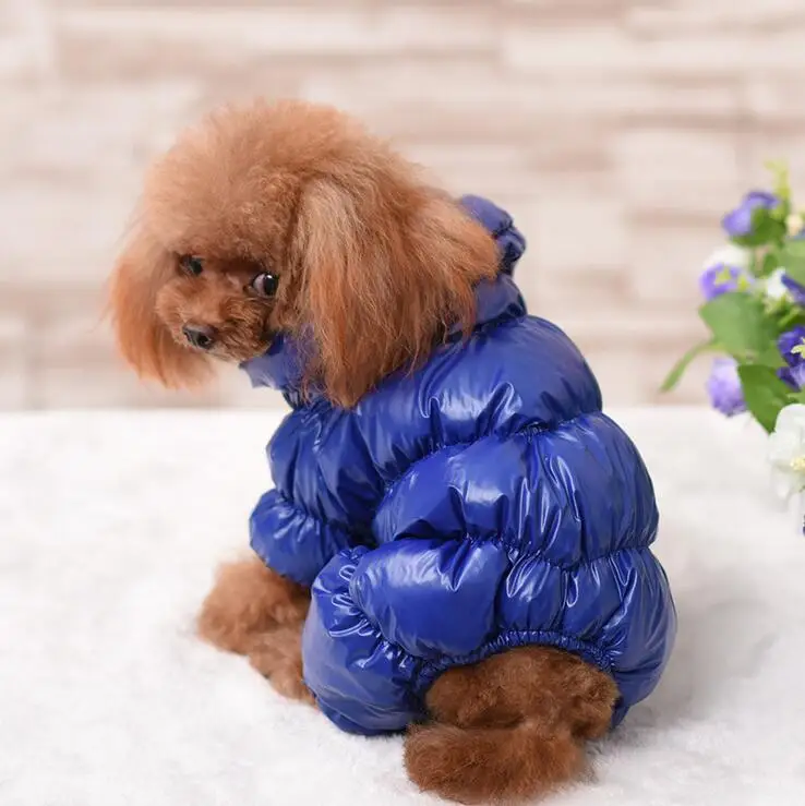 ملابس الحيوانات الأليفة الشتاء الكلب بذلة السروال القصير الحيوانات الأليفة معطف عام للكلاب الصغيرة الكبيرة سميكة القطن ملابس الحيوانات الأليفة #6