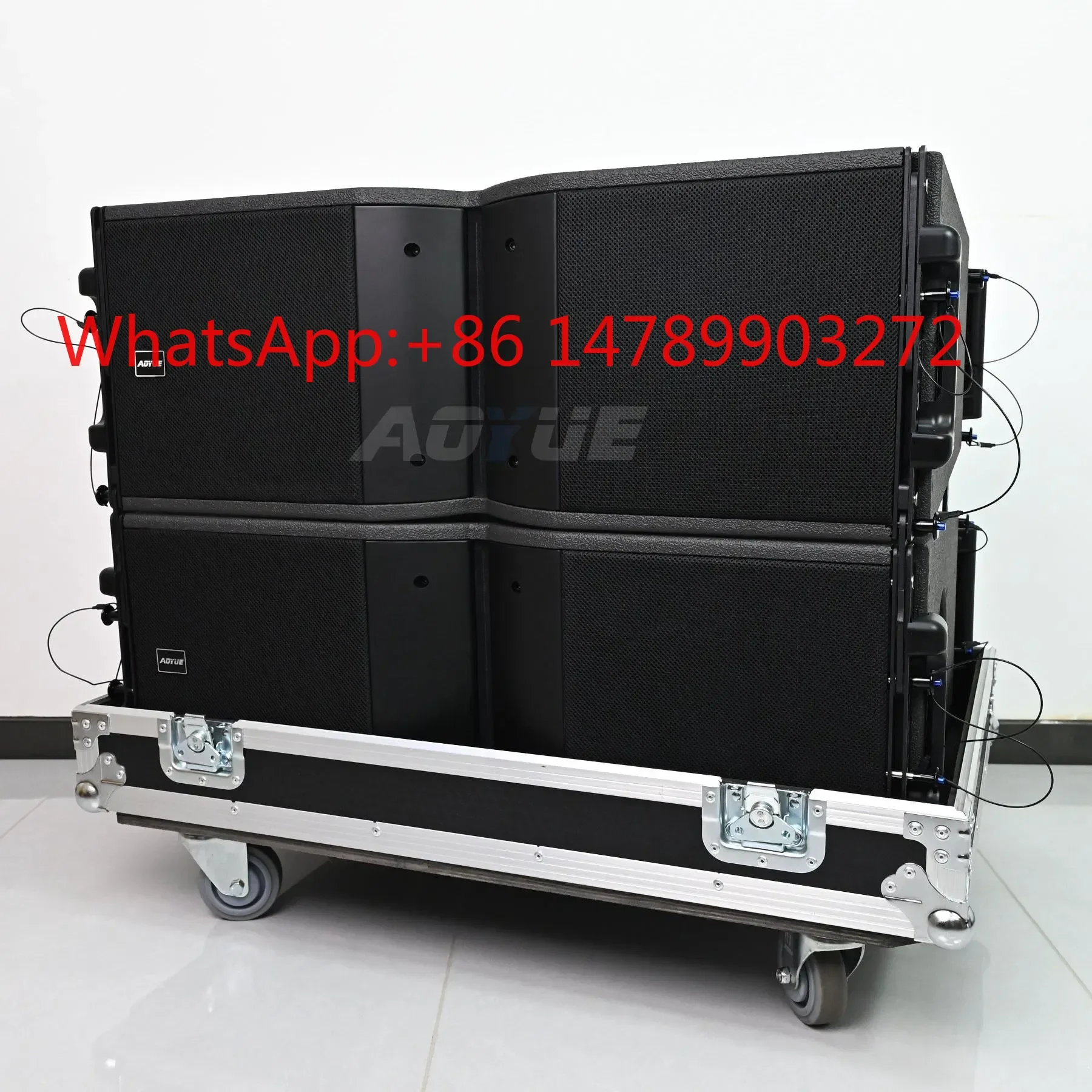 Ka210 Dual 10 Inch Passive Line Array, Outdoor Concert Speaker