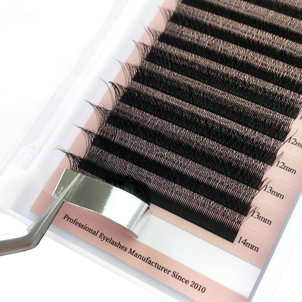 Goddess 4D W Shape Lashes Super Soft Premade Volume Fans Eyelash Extensions Natural Light Individual Lashes