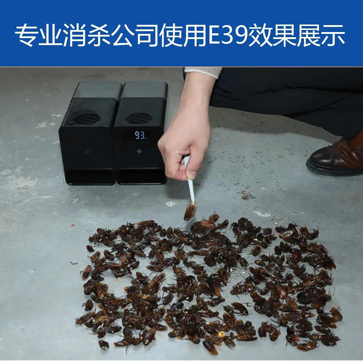 

Intelligent cockroach exterminator Cockroach medicine Non-toxic household whole nest kitchen indoor tool