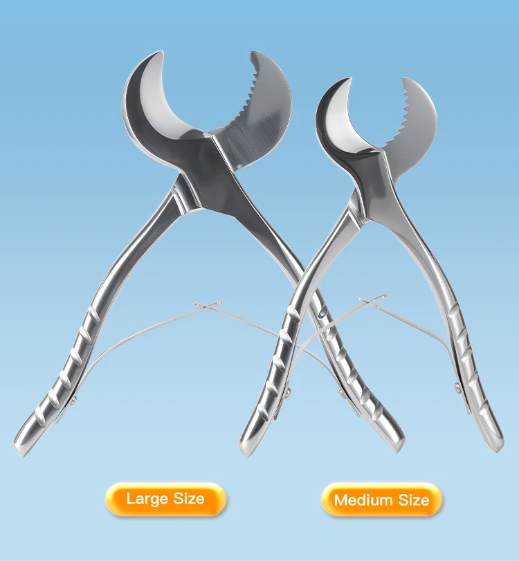 AZDENT Dental Gipsschere Schere Edelstahl Pinzette Instrument Gips Gips Zange Zahnmedizin Zahnarzt Labor Werkzeuge – Detail 2