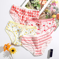 PassionLAB Mid Low Rise Ladies Briefs Soft Comfortable Women's Panties Cute Print Milk Silk