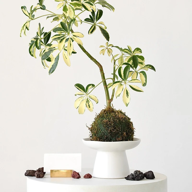 Ceramic Flower Pot High Foot Wabi Sabi Style Japanese Zen Bonsai Planter for Tea Table Decor
