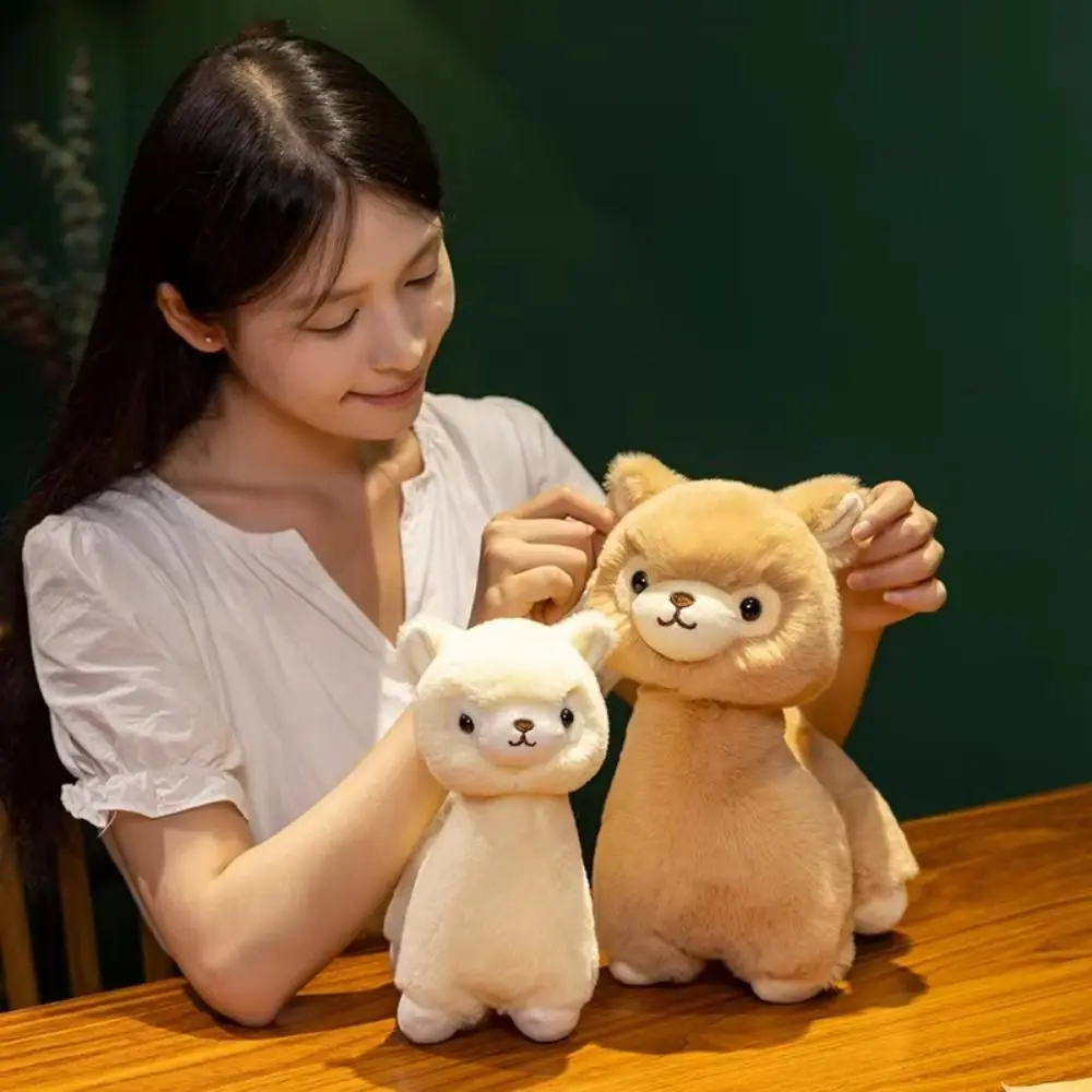 

PP Cotton Alpaca Plush Toys Fluffy Collection Plush Llama Dolls Cartoon Ins Animals Stuffed Toys Birthday Gifts