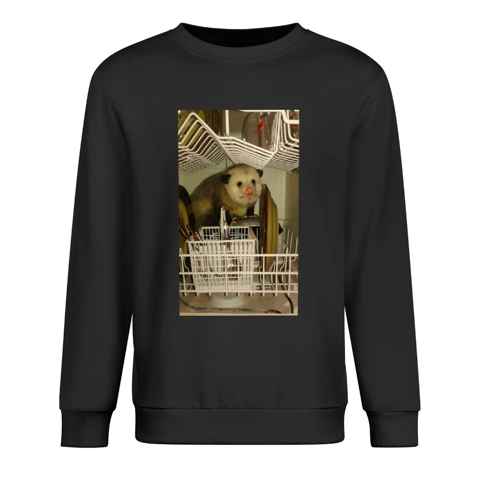 

Dishwasher Possum Meme Pullover anime clothes men's coat korean clothes autumn clothes oversize sweatshirts