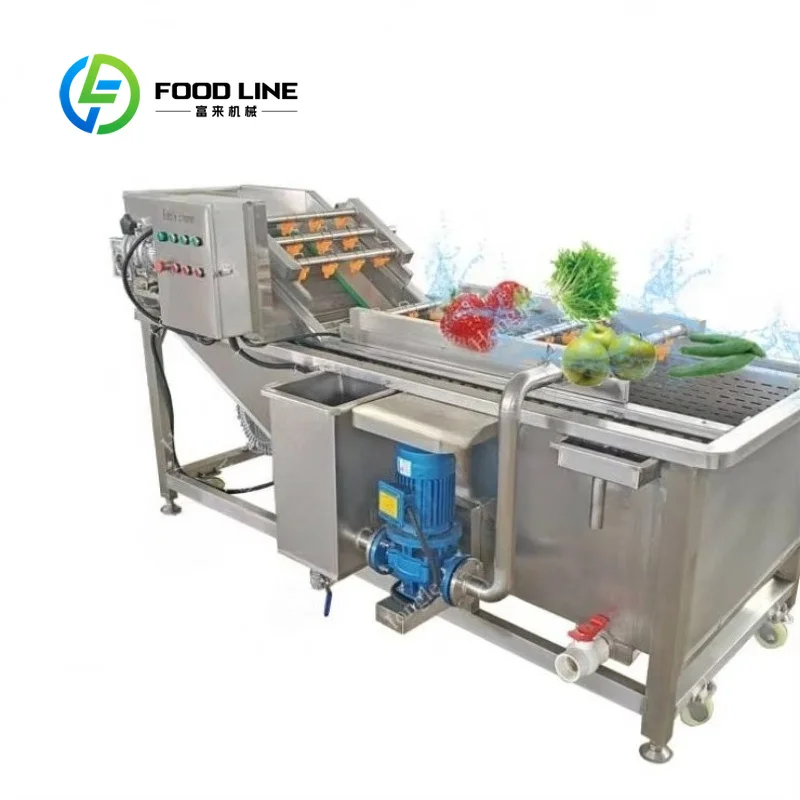 Customize 304 Stainless Steel Bubble Fruit Washing Machine, 500Kg/H Chlorine Removal Vegetable Cleaner for Food Processing