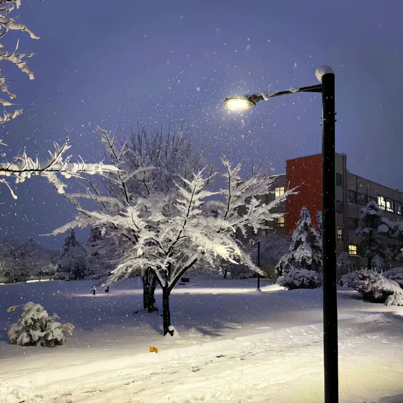 GEPRC ELRS 915M/2.4G GemX 제미니 수신기 - 25-1000Hz 100mW 5V 리턴 파워 FPV RC DIY 부품용